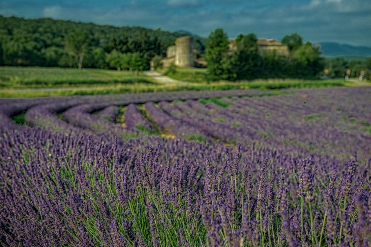 Les Beaux Chenes Villa Pont-de-Barret Kültér fotó